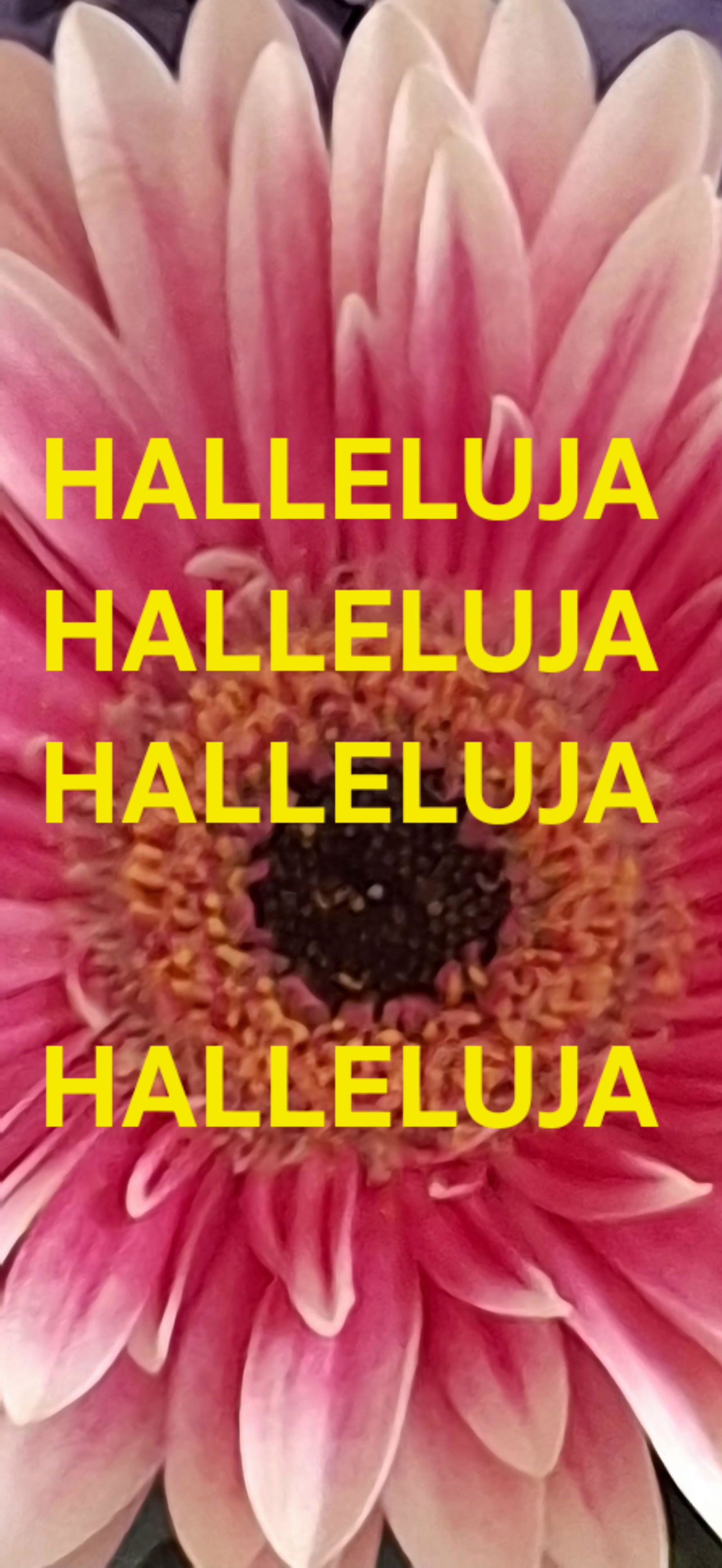 Markéta  Kletečka Chludilová 