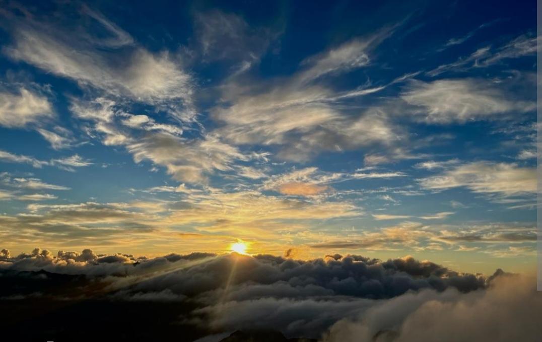 Iveta Hol&aacute;nov&aacute;